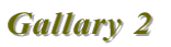 Gallary 2