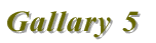 Gallary 5